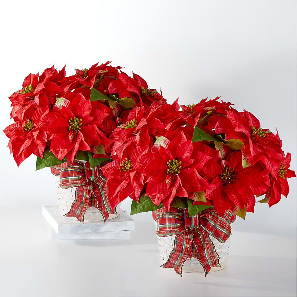 Happiest Holidays Poinsettia Bundle – The Pink Petal, Pierre SD