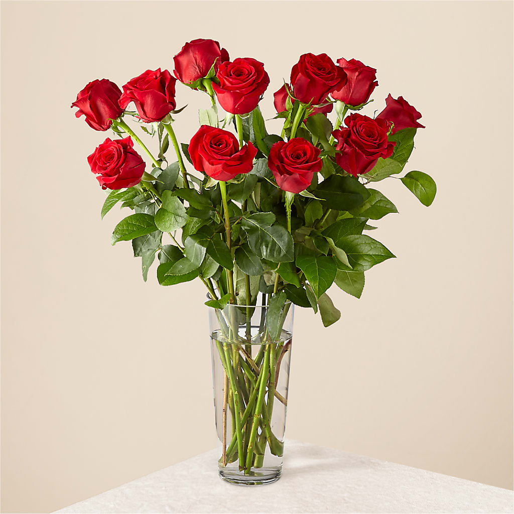 Long Stem Red Rose Bouquet – The Pink Petal, Pierre SD