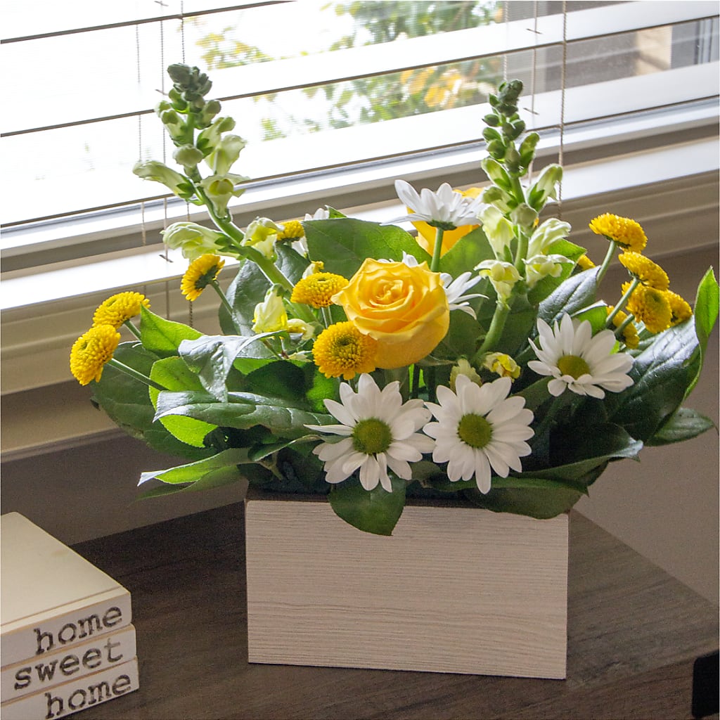 Sun Salutation Box Bouquet – The Pink Petal, Pierre SD