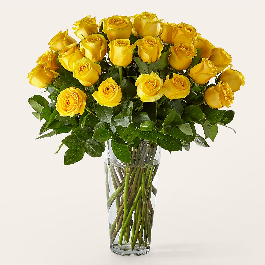 Long Stem Yellow Rose Bouquet – The Pink Petal, Pierre SD