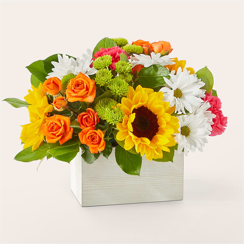 Sun-drenched Blooms Box Bouquet – The Pink Petal, Pierre SD