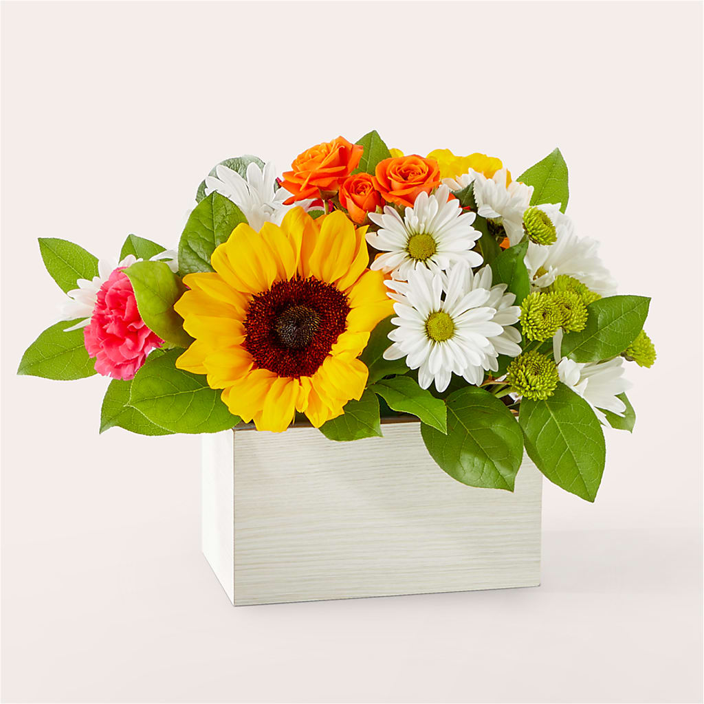 Sun-drenched Blooms Box Bouquet – The Pink Petal, Pierre SD