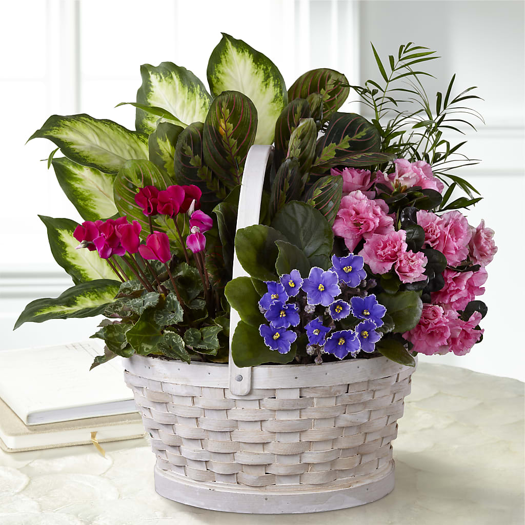 Peaceful Garden Planter – The Pink Petal, Pierre SD