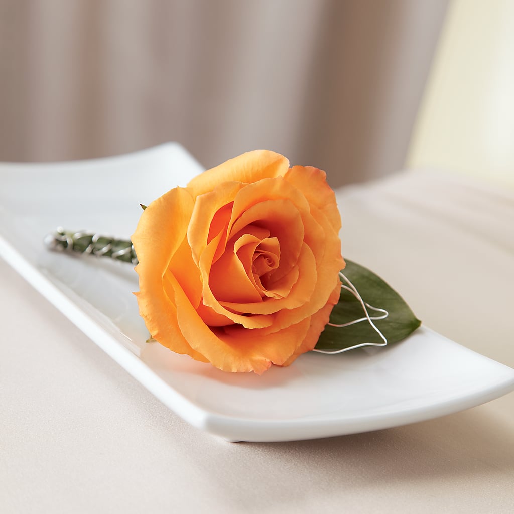 Lifetime of Love Boutonniere – The Pink Petal, Pierre SD