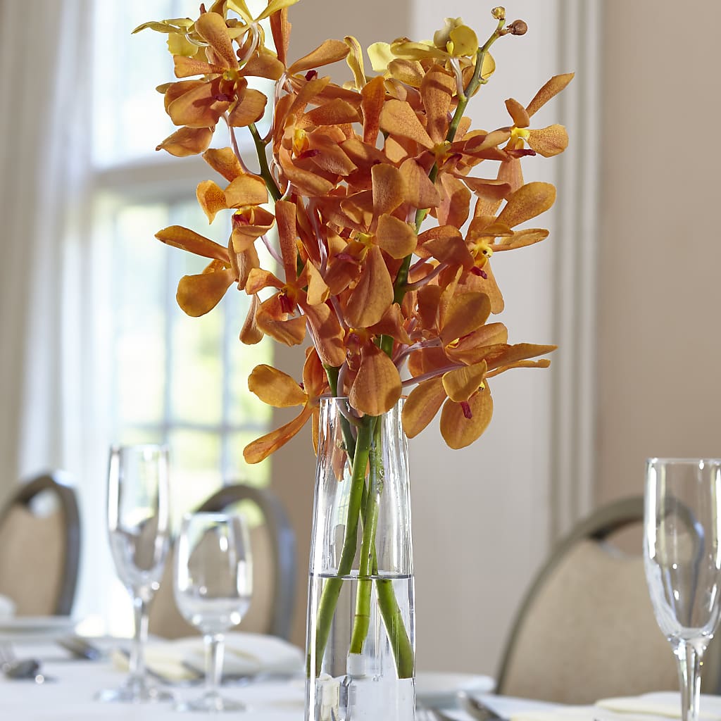 Orange Mokara Bud Vase – The Pink Petal, Pierre SD