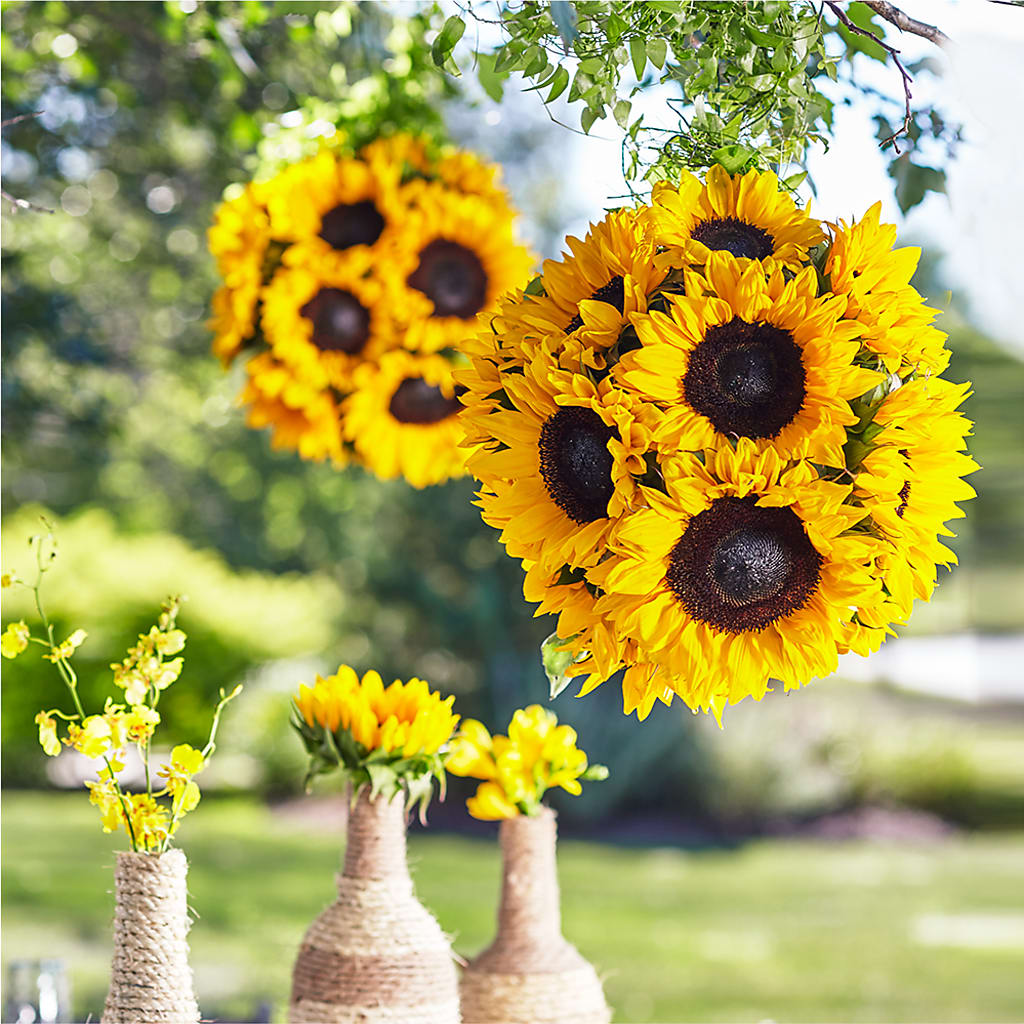 Sublime Garden Hanging Arrangement – The Pink Petal, Pierre SD