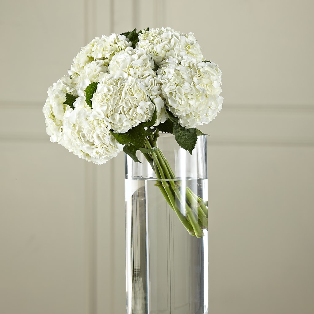 White Hydrangea Hand-Tied Bouquet – The Pink Petal, Pierre SD