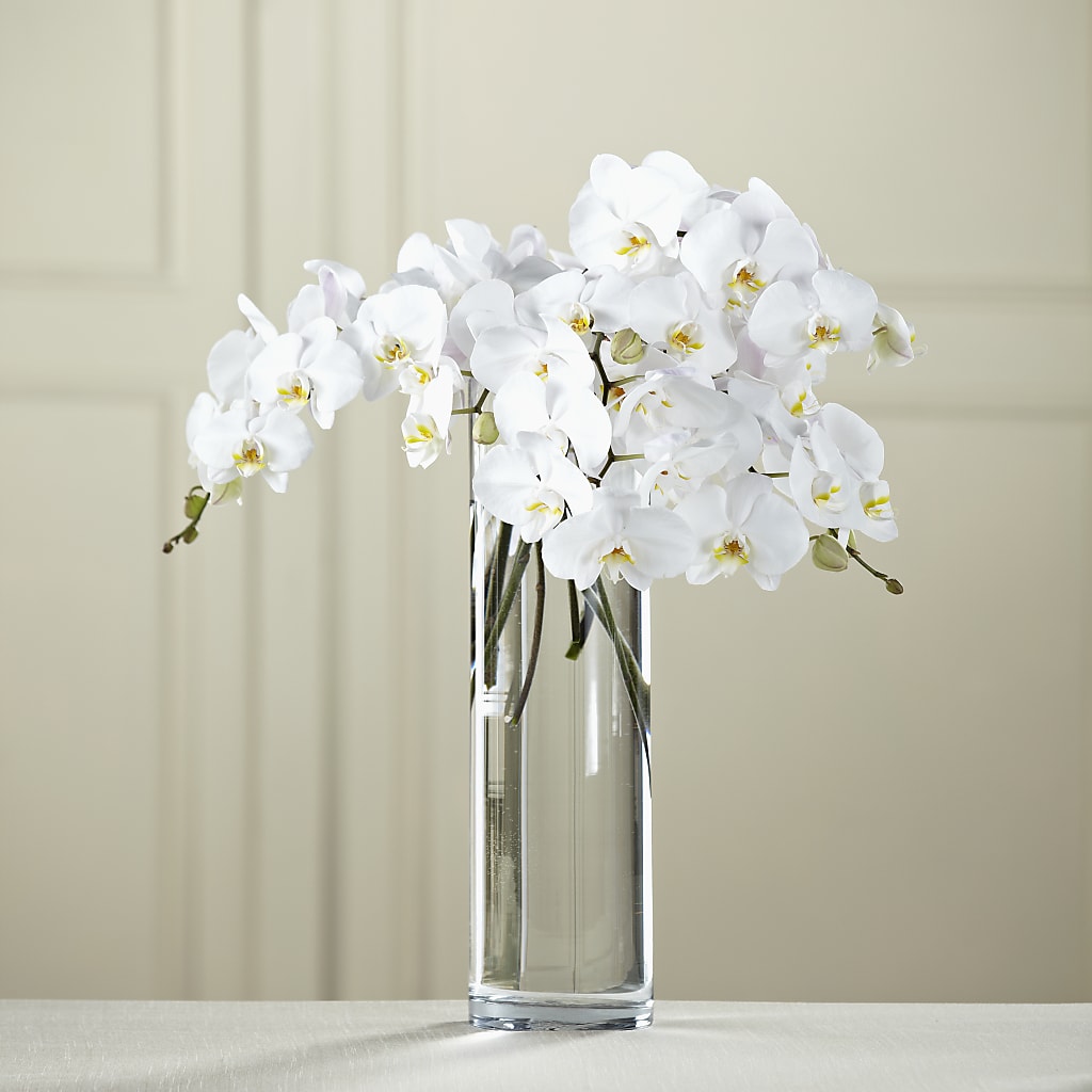 White Phalaenopsis Bouquet – The Pink Petal, Pierre SD