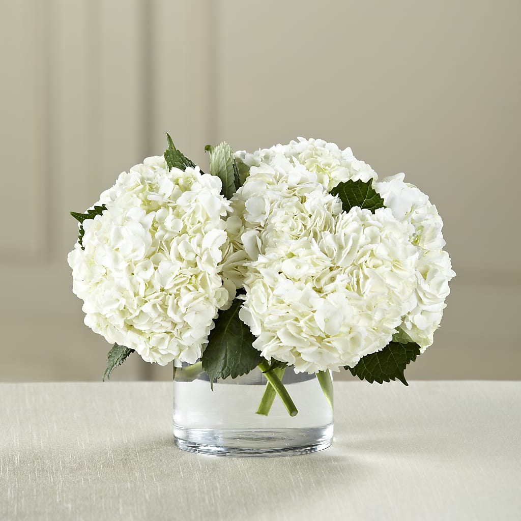White Hydrangea Bouquet – The Pink Petal, Pierre SD