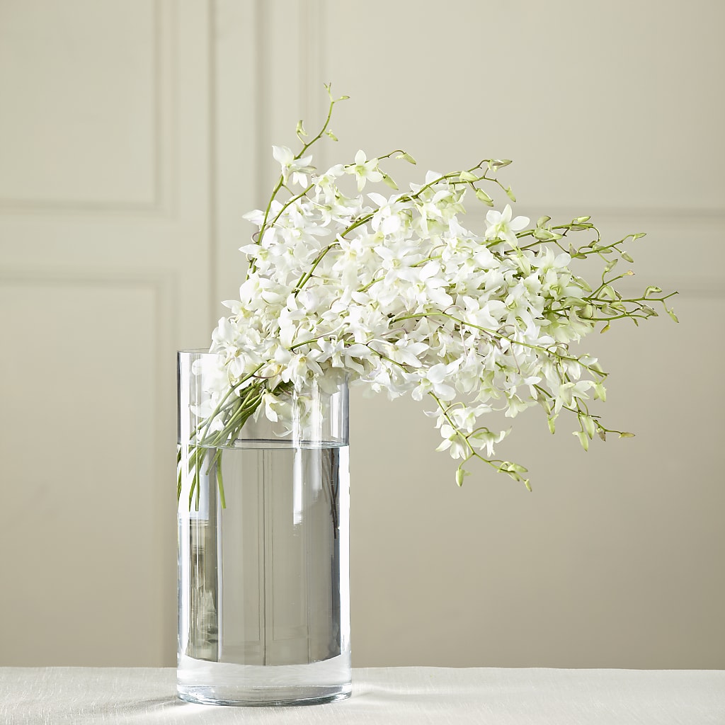 White Dendrobium Bouquet – The Pink Petal, Pierre SD