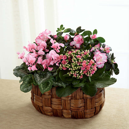 Pink Assortment –  The Pink Petal, Pierre SD