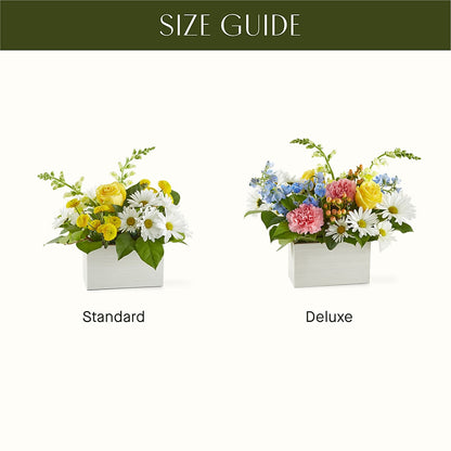 Sun Salutation Box Bouquet –  The Pink Petal, Pierre SD