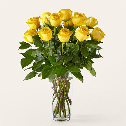 Long Stem Yellow Rose Bouquet –  The Pink Petal, Pierre SD
