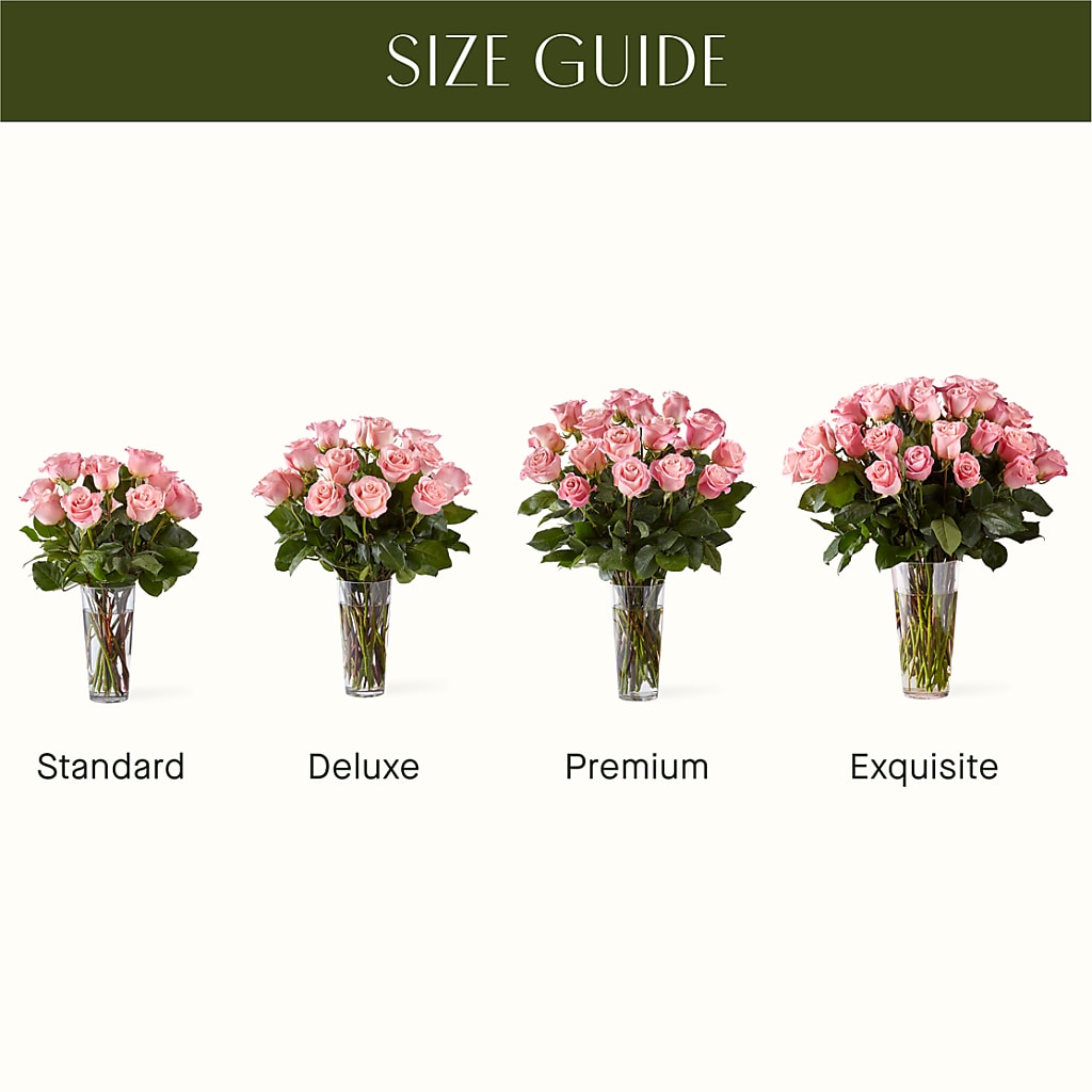 Long Stem Pink Rose Bouquet –  The Pink Petal, Pierre SD