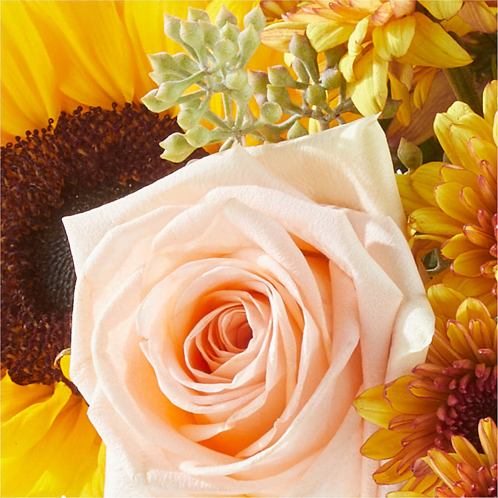 Pumpkin to Talk About Bouquet –  The Pink Petal, Pierre SD