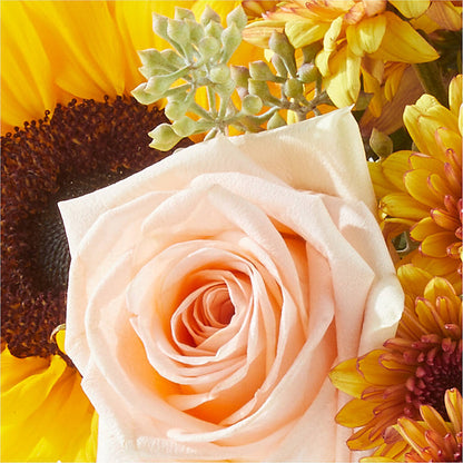 Pumpkin to Talk About Bouquet –  The Pink Petal, Pierre SD