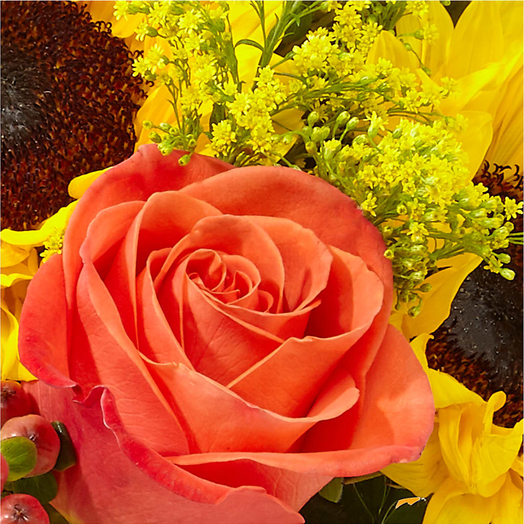 Pick of the Patch Pumpkin Bouquet –  The Pink Petal, Pierre SD