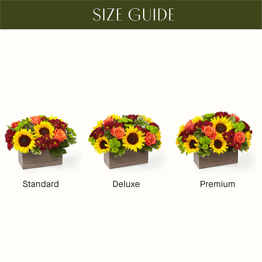 Happy Harvest Garden –  The Pink Petal, Pierre SD