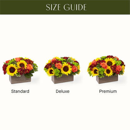 Happy Harvest Garden –  The Pink Petal, Pierre SD