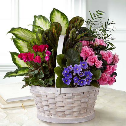 Peaceful Garden Planter –  The Pink Petal, Pierre SD