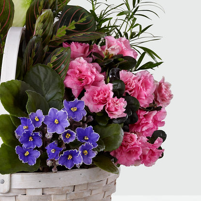 Peaceful Garden Planter –  The Pink Petal, Pierre SD