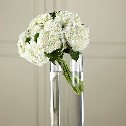 White Hydrangea Hand-Tied Bouquet –  The Pink Petal, Pierre SD