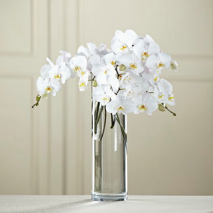 White Phalaenopsis Bouquet –  The Pink Petal, Pierre SD