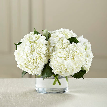 White Hydrangea Bouquet –  The Pink Petal, Pierre SD